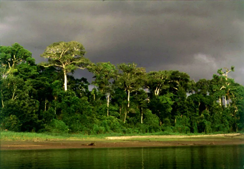 Lagos del Tarapoto, Amazonas. 