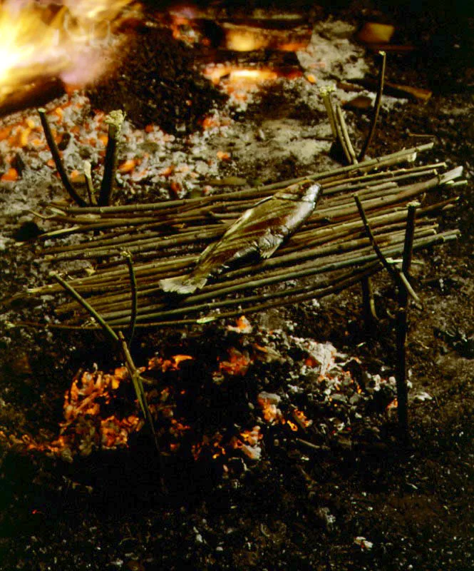 Pescado ahumado.  En los ros del llano y de la selva abunda el pescado, pero durante las temporadas de lluvia e inundacin se han difcil la pesca.  En cambio, en el verano los peces quedan atrapados en pozos o charcos, donde es fcil capturarlos.  La tcnica culinaria de ahumar el pescado no se utiliza nicamente como delicadeza gastronmica, que la es, sino como mtodo de conservacin.  