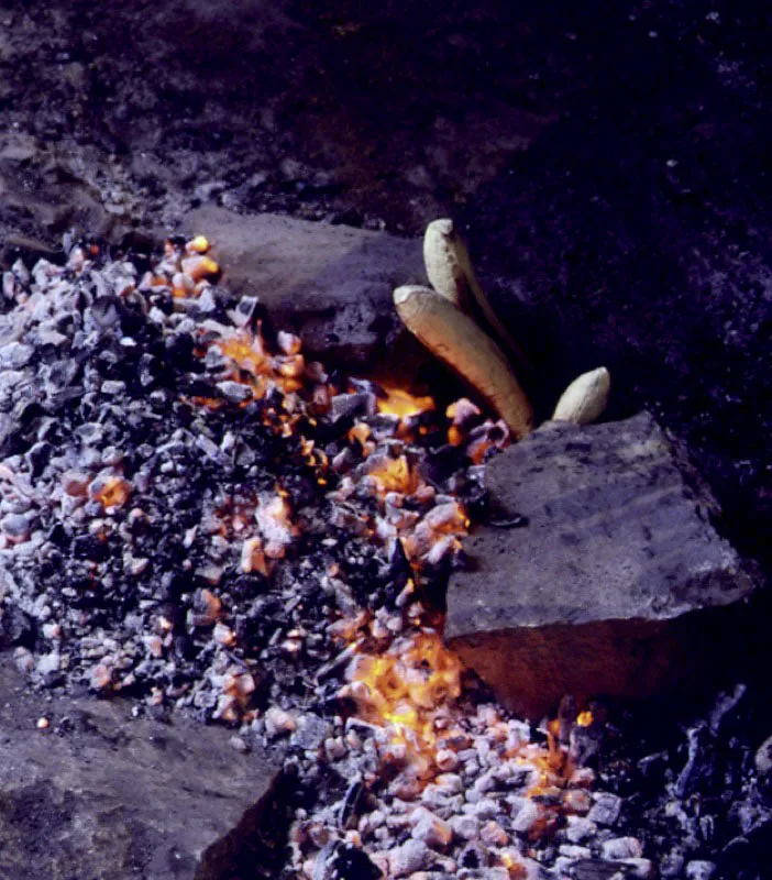 Plátanos asados.