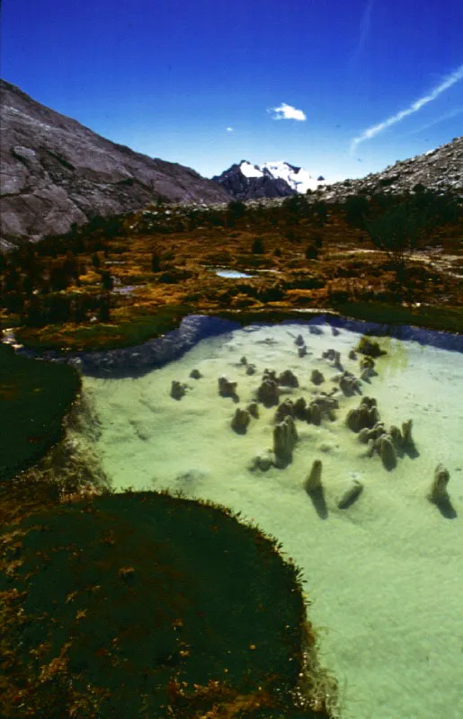 Valle central y pico El Castillo. Sierra Nevada del Cocuy, Boyac.  Cristbal von Rothkirch