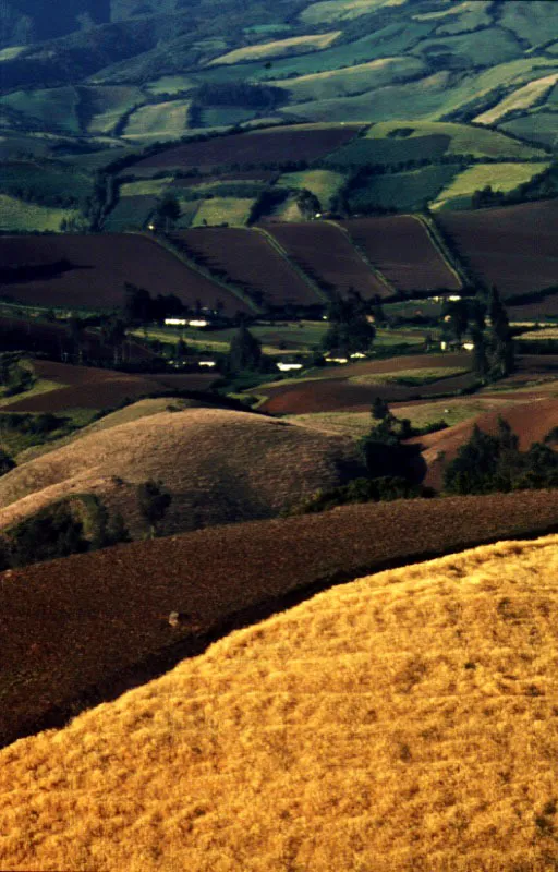 Volcn Galeras, Nario. Cristbal von Rothkirch