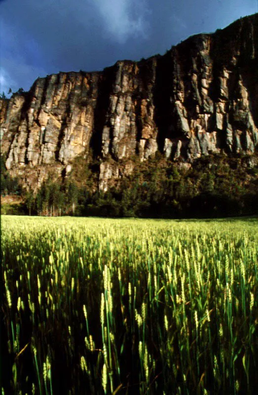 Rocas de Suesca, Cundinamarca. Cristbal von Rothkirch