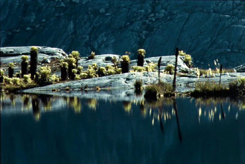 Laguna El Tigre. Sierra Nevada del Cocuy, Boyac. Cristbal von Rothkirch