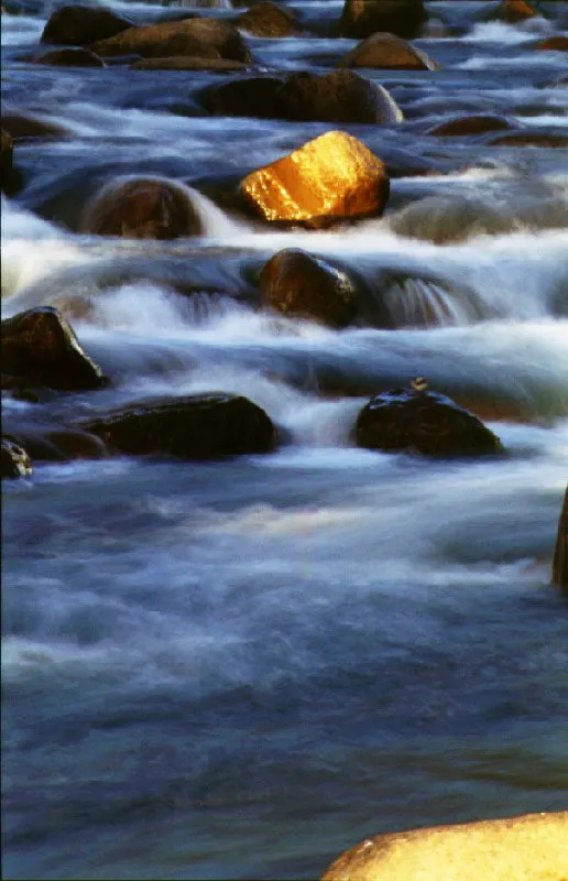 Duriameina. Sierra Nevada de Santa Marta, Magdalena.  Cristbal von Rothkirch