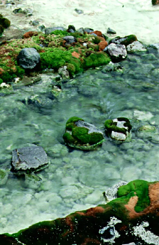 Termales de San Juan. Parque Nacional Purac, Cauca. Cristbal von Rothkirch