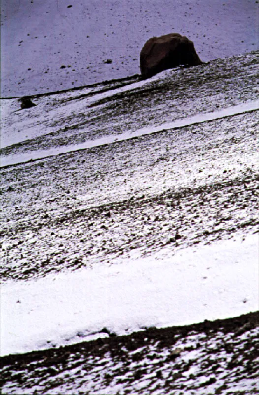 Valle lunar. Nevado del Ruiz, Parque Nacional de los Nevados, Caldas. Cristbal von Rothkirch