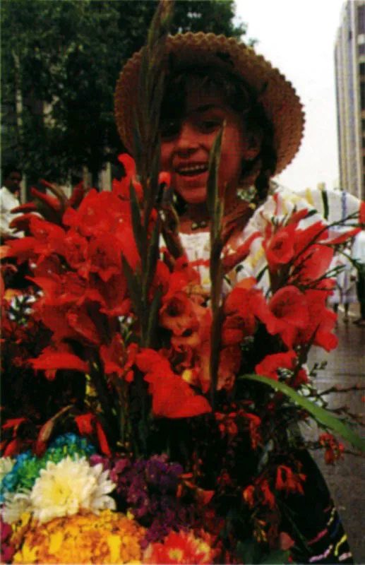 En Antioquia, Medellín, “la ciudad de la eterna primavera”, “la ciudad de las flores” , “la ciudad jardín”, un desfile de su flora exalta la región. Jeremy Horner