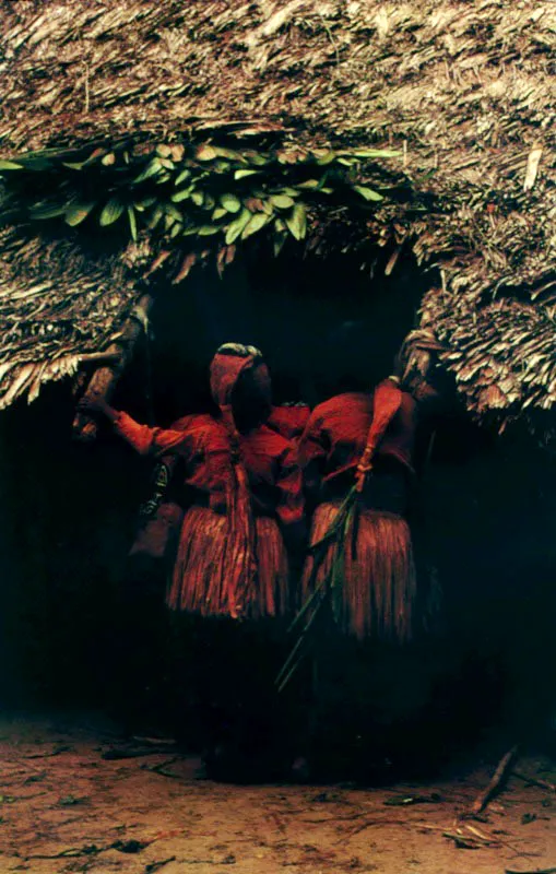 Maloca amazónica, representación del universo. Danzantes Yukuna. Río Mirití-Paraná, Vaupés.
Jeremy Horner
