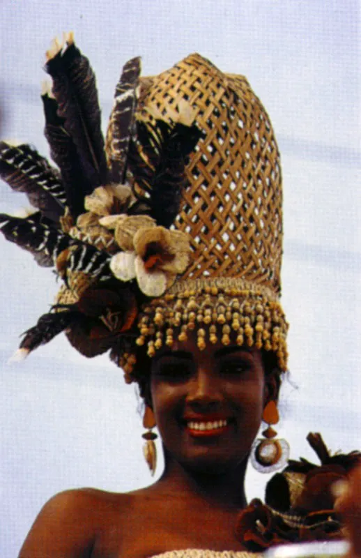 El reinado nacional de la belleza en Cartagena de Indias, Bolívar, en la costa caribe, es una celebración de elitelore, que ha abierto sus puertas a la diversidad étnica colombiana. La competencia involucra a departamentos y regiones del país. La selección se lleva a cabo en clubes sociales e implica el despliegue de una compleja parafernalia de trajes, joyas, maquillajes, gesto y habla por parte de cada una de las candidatas. La reina compite en eventos internacionales que a su vez son modelo para los numerosos reinados que se celebran a lo largo y ancho del país durante todo el año. Jeremy Horner