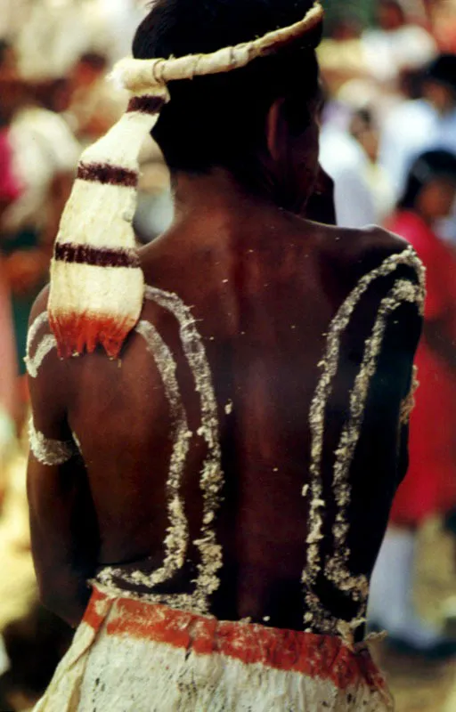 Torso Uitoto. Traje de baile con adornos tradicionales de plumón suave del estómago del águila, adherido con látex de árbol. Jeremy Horner