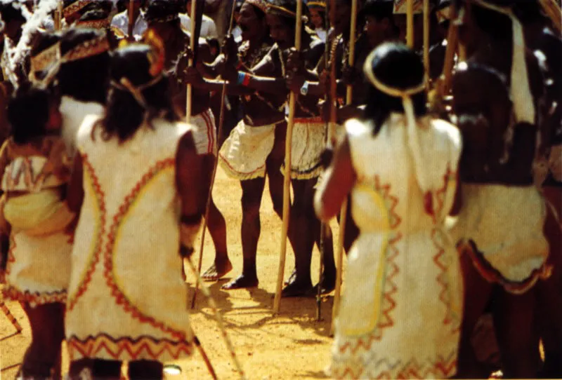 Indios Uitoto en fiesta de ofrecimiento de cauana en La Chorrera, río Igaraparaná, Amazonas. La cauana es bebida de almidón de yuca con zumo de una fruta: canangucho o piña. Los bastones que marcan el ritmo del baile rematan con cascabeles de semillas que producen sonido de agua. Jeremy Horner