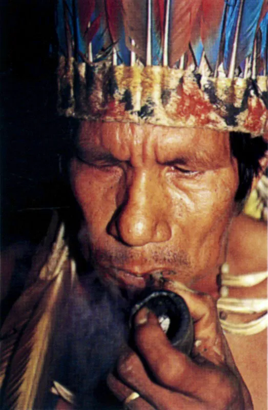 Dientes de jaguar y capador en atuendos y música de rituales amazónicos. Jeremy Horner