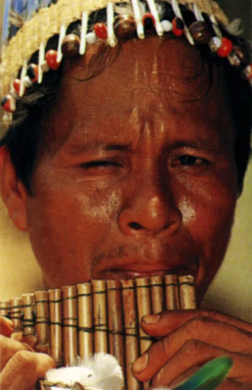 Dientes de jaguar y capador en atuendos y música de rituales amazónicos. Jeremy Horner