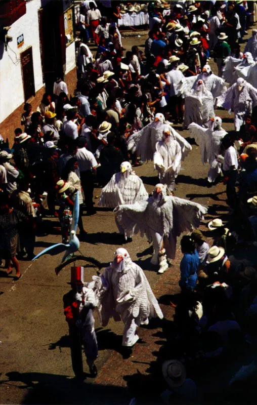 Cuadrillas de palomas. Riosucio, Caldas. Jeremy Horner