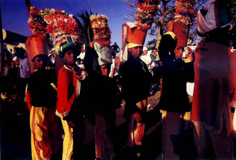 Las cuadrillas de los congos han tenido nombres reminiscentes de clanes totmicos: El Torito ribeo, La Burra mocha, El Toro negro. Cada una marcha con su capitn a la cabeza, con cuadrillas de tigres, perros y toros. Es una danza guerrera que involucra mujeres, nios y ayudantes, pero sin disfraz, cuyo papel es ayudar a los guerreros con comida y bebida. El mayor trofeo es doblegar la bandera smbolo del contrincante. Jeremy Horner