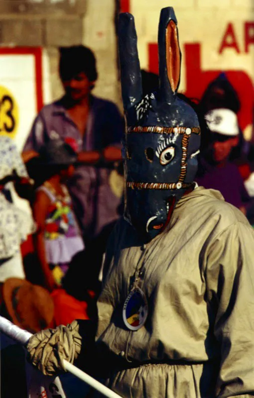 En Barranquilla la tradicin escultrica de mscaras de madera pintadas de negro, rojo, amarillo y blanco, con la vivacidad expresiva de las mandbulas, ojos, barbas o pelos de los mismos animales, se ha mantenido particularmente en torno a la danza de los congos, como un testimonio de la permanencia de Africa en la sociedad caribea colombiana. En el Congo y en Angola, durante ceremonias de iniciacin, los jvenes usan mscaras de madera y atuendos de fibras vegetales. En algunas otras sociedades africanas el protagonismo de la serpiente pitn se ana al poder religioso del rey. Jeremy Horner