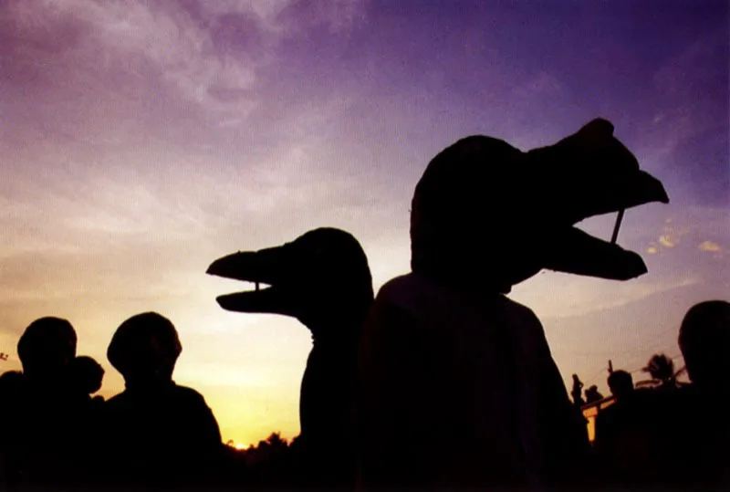 Las danzas de pájaros como los coyongos, los pisingos, las garzas,
los loros, han viajado desde diversos lugares de las vecindades del río Magdalena –Chimichagua, El Banco, Guamal , Talaigua– al carnaval citadino de Barranquilla. Van de pueblo en pueblo
haciendo representaciones danzarinas dramáticas que narran
historias de cazadores que los aniquilan. Jeremy Horner
