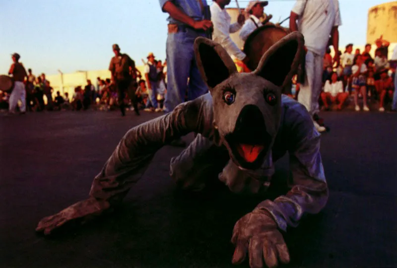 Las danzas de pájaros como los coyongos, los pisingos, las garzas,
los loros, han viajado desde diversos lugares de las vecindades del río Magdalena –Chimichagua, El Banco, Guamal , Talaigua– al carnaval citadino de Barranquilla. Van de pueblo en pueblo
haciendo representaciones danzarinas dramáticas que narran
historias de cazadores que los aniquilan. Jeremy Horner