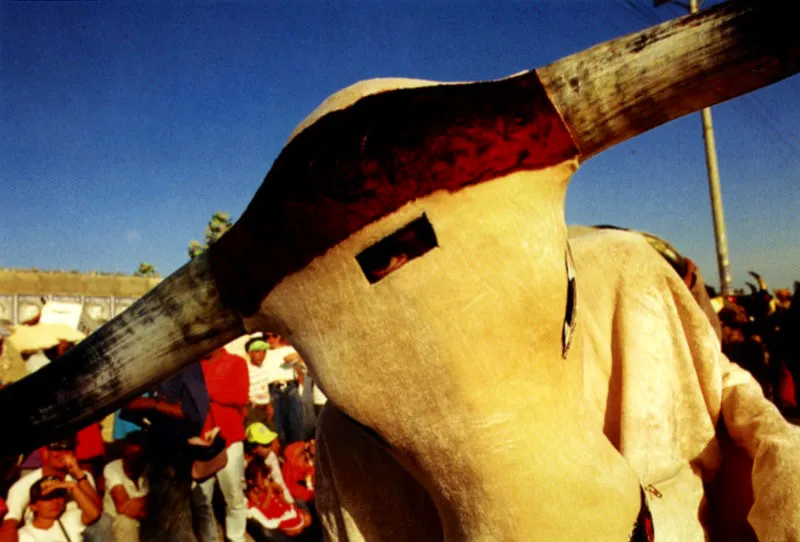 Toro y caimán, personajes del carnaval y de cuentos y leyendas en la llanura caribe, aparecen también en la solemnidad del teatro Amira de la Rosa, en Barranquilla. El caimán de la leyenda de Plato persigue a Tomasita en Ciénaga, Magdalena, con la intención de comérsela, y ella ingenua corre a protegerse cayendo en los cachos del toro en el acrílico
del pintor colombiano Alejandro Obregón. Jeremy Horner