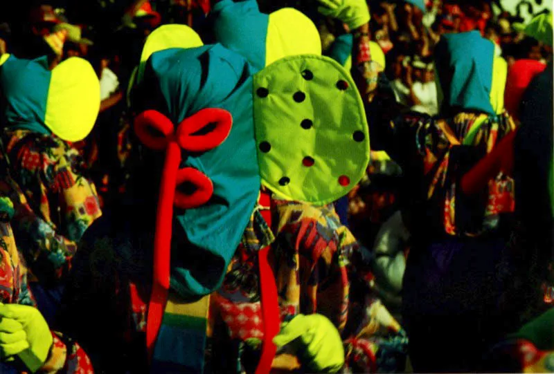 El disfraz de la marimonda en la zona carnestolndica del Caribe colombiano, originalmente luci una mscara de tela burda de costal con enormes orejas, trompa, boca y ojos de rosquilla y cuerpo de hombre en harapos de trajes al revs. Era el vestido de quienes no tenan dinero para comprar un disfraz, dice el pintor barranquillero Angel Loochkartt. Jeremy Horner