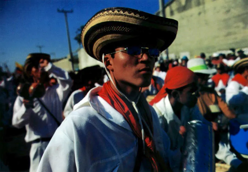 En la zona de carnaval del ro Magdalena, su gente ha sido dibujada poticamente como los bogas vaqueros. El gran poeta de la cultura negra, Candelario Obeso, oriundo de Mompox, en su Cancin del boga ausente, a finales del siglo XIX escribi a propsito:
Qu triste est la noche / La noche qu triste est
no hay en el cielo una estrella... / Remar, remar.
La negra de mi alma ma / mientras yo remo en la mar
baado en sudor por ella, / Qu har?, qu har?  Jeremy Horner