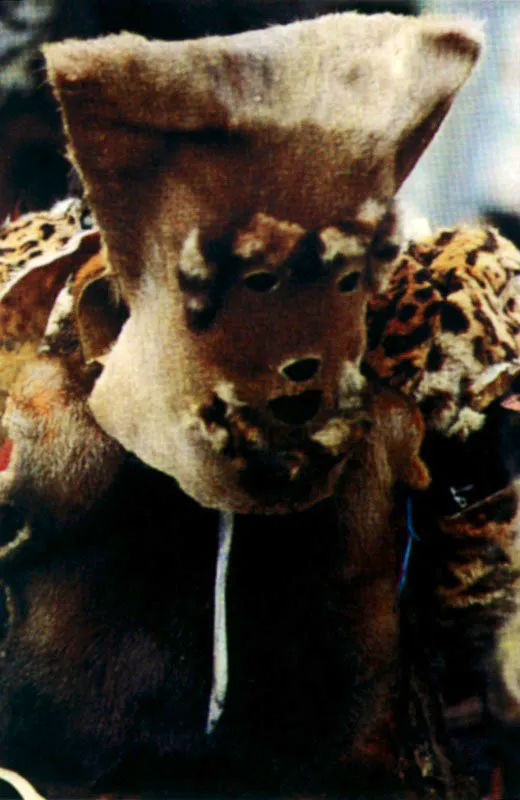 En la fiesta de San Martín, Meta, la danza de las cuadrillas se enmascara con pieles de jaguar, venados, chigüiros o serpientes. Jeremy Horner
