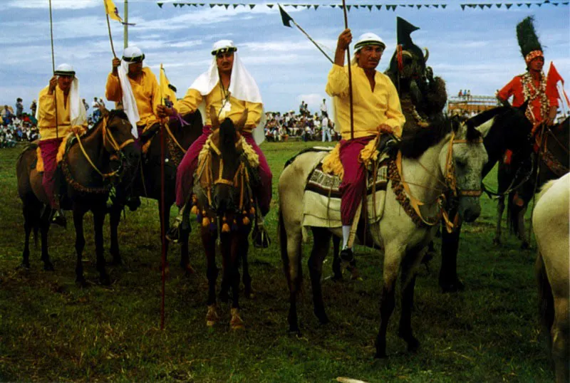 Las cuadrillas de San Martín, Meta, en una serie de episodios narran los encuentros de indios y negros con españoles y los de éstos con los
moros. La trama de las alianzas y forcejeos interétnicos converge
en la utopía de un ideal étnico: el hombre americano que al
final de la fiesta, montado a caballo, rinde culto a San Martín,
el santo católico, patrón de la fiesta. Jeremy Horner