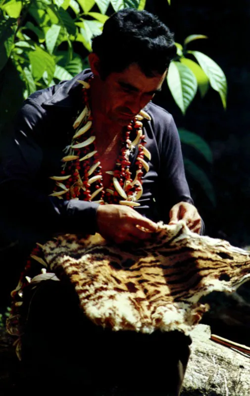 Encuentro descarnado de la fiesta llanera con la potica de jaguares, anacondas y plumajes de los Llanos Orientales de Colombia. San Martn, Meta. Jeremy Horner