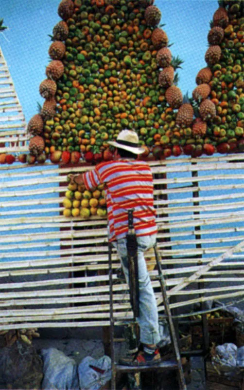 Corpus Christi. Fragancia frutal. Anolaima, Cundinamarca. Jeremy Horner