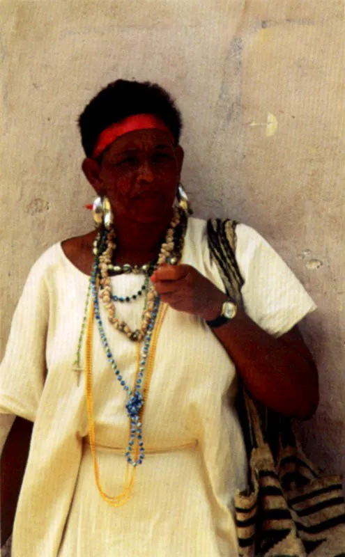 La influencia del traje de los indios de la Sierra Nevada de Santa Marta y su estirpe se hace presente en el festival de la leyenda vallenata en Valledupar, Cesar. Andrés Gullo canta en su paseo vallenato:
Mi tierra linda es el Magdalena / tierra bonita donde nací /
cuando estoy lejos sufro por ella / y fuera de ella no sé vivir.
Cuando a lo lejos miro la Sierra / me siento lleno de inspiración
porque ella tiene todo el fulgor / de esa belleza del Magdalena. Jeremy Horner