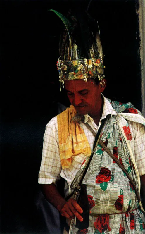La influencia del traje de los indios de la Sierra Nevada de Santa Marta y su estirpe se hace presente en el festival de la leyenda vallenata en Valledupar, Cesar. Andrés Gullo canta en su paseo vallenato:
Mi tierra linda es el Magdalena / tierra bonita donde nací /
cuando estoy lejos sufro por ella / y fuera de ella no sé vivir.
Cuando a lo lejos miro la Sierra / me siento lleno de inspiración
porque ella tiene todo el fulgor / de esa belleza del Magdalena. Jeremy Horner