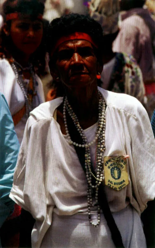 La influencia del traje de los indios de la Sierra Nevada de Santa Marta y su estirpe se hace presente en el festival de la leyenda vallenata en Valledupar, Cesar. Andrs Gullo canta en su paseo vallenato:
Mi tierra linda es el Magdalena / tierra bonita donde nac /
cuando estoy lejos sufro por ella / y fuera de ella no s vivir.
Cuando a lo lejos miro la Sierra / me siento lleno de inspiracin
porque ella tiene todo el fulgor / de esa belleza del Magdalena. Jeremy Horner