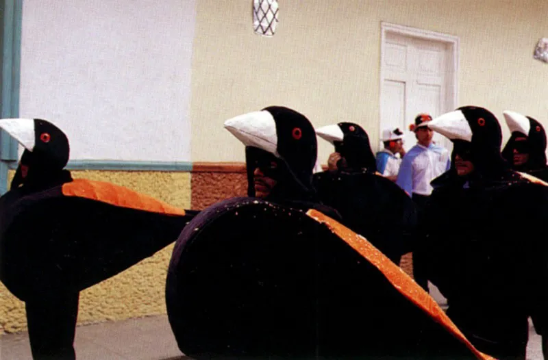 Antes y despus de su presentacin de canto y poesa en el tablado, las comparsas recorren el poblado con msica y el estampido de petardos, pilares del Diablo en la fiesta.
Hoy estos turpiales sus canciones alzarn / y su canto envidiarn el ave agorera, / la gaviota, el halcn y el ruiseor; / con nuestros plumajes naturales nos visti, / porque en la noche llevamos lgubre velln / y la blanca aurora en nuestros pechos luce hoy / sus dorados rayos de luz y esplendor. Los Turpiales, letra de Andrs Trejos Correa. Riosucio, Caldas.
 Jeremy Horner