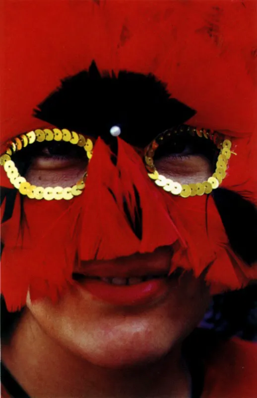 Belcebú, que tu reinado sea / tan durable como el mundo, / el cual fenecerá cuando el padre sol / deje de alentarlo y darle / su luz misericordiosa. Saludo al Diablo del carnaval, ofrecido en febrero 7 de 1925 por el poeta riosuceño José Trejos. Jeremy Horner