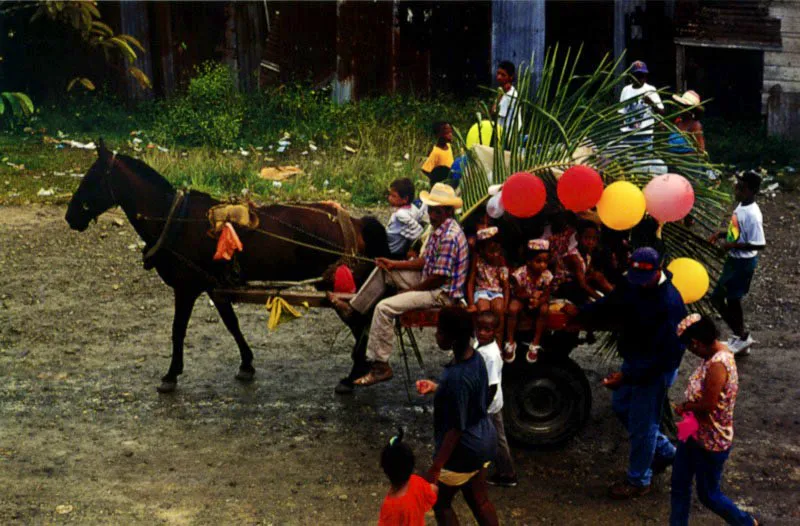 A comienzos del siglo, carretillas como esta, pero tiradas por muchachos, servían también como carrozas de fiesta. Quibdó, Chocó. Jeremy Horner