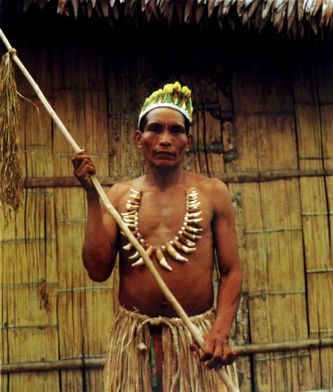 Indio Uitoto de La Chorrera, ro Igaraparan, Amazonas, en traje para ritual. Plumaria de loro y collar de dientes de jaguar. Jeremy Horner