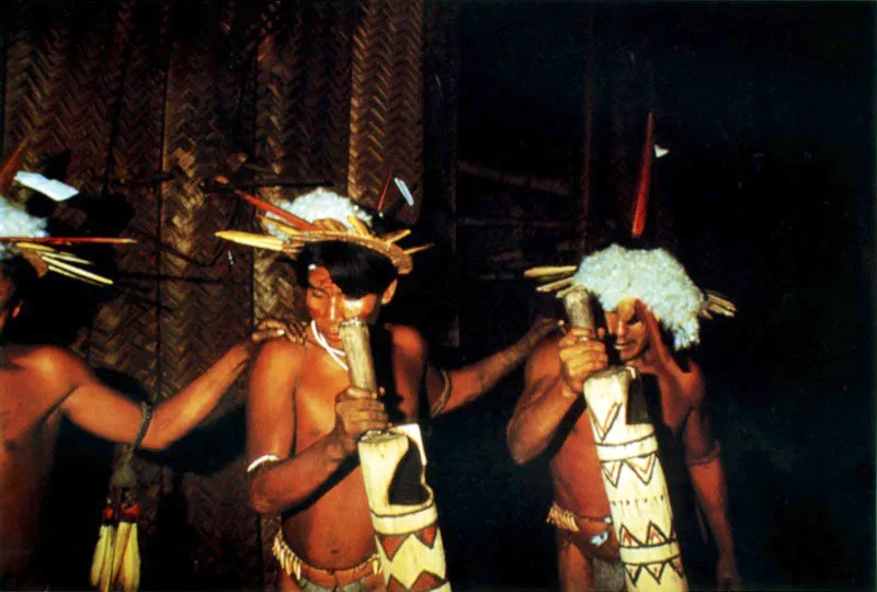 Indios Tucano en una maloca de los Barasana. El ritmo del baile lo marcan los bastones sonoros. En el mundo amazónico se señalan dos categorías de ríos: los de aguas oscuras o negras, que son gran parte del drenaje del escudo brasileño, y los de aguas claras o blancas con sus fuentes en los ríos andinos. El río Vaupés es de aguas blancas y el Pira-Paraná es de aguas negras. Río Pira-Paraná, Vaupés. Jeremy Horner