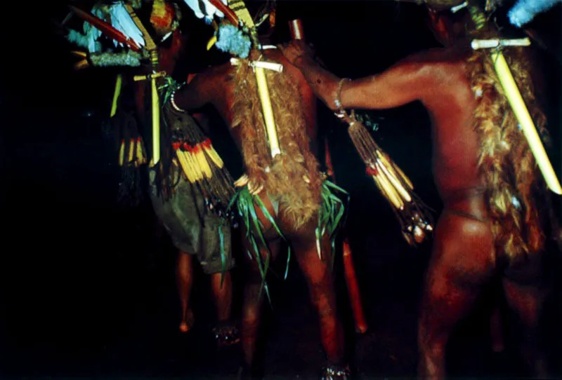 Indios Tucano en una maloca de los Barasana. El ritmo del baile lo marcan los bastones sonoros. En el mundo amazónico se señalan dos categorías de ríos: los de aguas oscuras o negras, que son gran parte del drenaje del escudo brasileño, y los de aguas claras o blancas con sus fuentes en los ríos andinos. El río Vaupés es de aguas blancas y el Pira-Paraná es de aguas negras. Río Pira-Paraná, Vaupés. Jeremy Horner