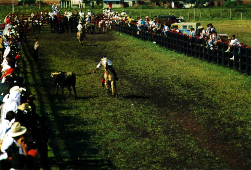 La fiesta del coleo conjuga el ser del llanero. Luis H. Cisneros lo dice en su copla: Sabes t que es un llanero? / Es algo que no lo explica ni la lengua castellana. / Dicen que naci en el llano y que vive en la sabana; buscando de banco en banco lo que no ha perdido su alma; oyendo en los palmares / las risas que dan las palmas; / mirando del ancho del ro / las espumas de las aguas, /que bajan de las corrientes / hacia otras fuentes lejanas. /  Jeremy Horner