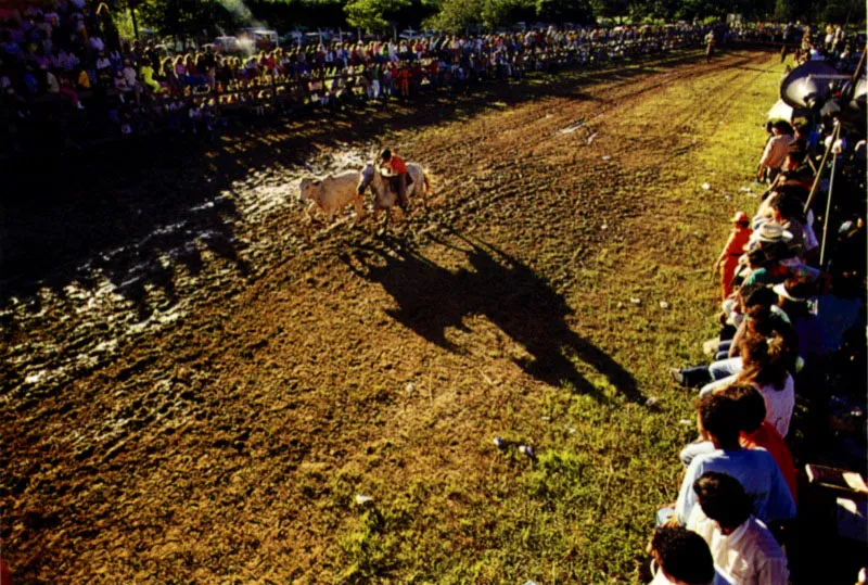 La fiesta del coleo conjuga el ser del llanero. Luis H. Cisneros lo dice en su copla: Sabes t que es un llanero? / Es algo que no lo explica ni la lengua castellana. / Dicen que naci en el llano y que vive en la sabana; buscando de banco en banco lo que no ha perdido su alma; oyendo en los palmares / las risas que dan las palmas; / mirando del ancho del ro / las espumas de las aguas, /que bajan de las corrientes / hacia otras fuentes lejanas. /  Jeremy Horner