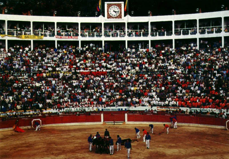 El lenguaje de la tauromaquia habla de ponerle el capote en los belfos del toro, la tersura de la muleta, del templar la embestida. Tambin de pases de pecho, y de muletazos que se traga el toro. Plaza de Toros de Santamara, Bogot. Jeremy Horner