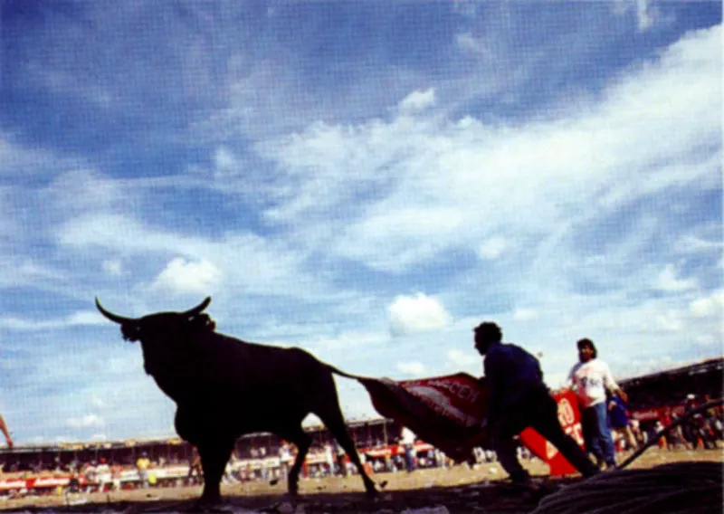 Corraleja. San Luis de Sincé, Sucre. Jeremy Horner
