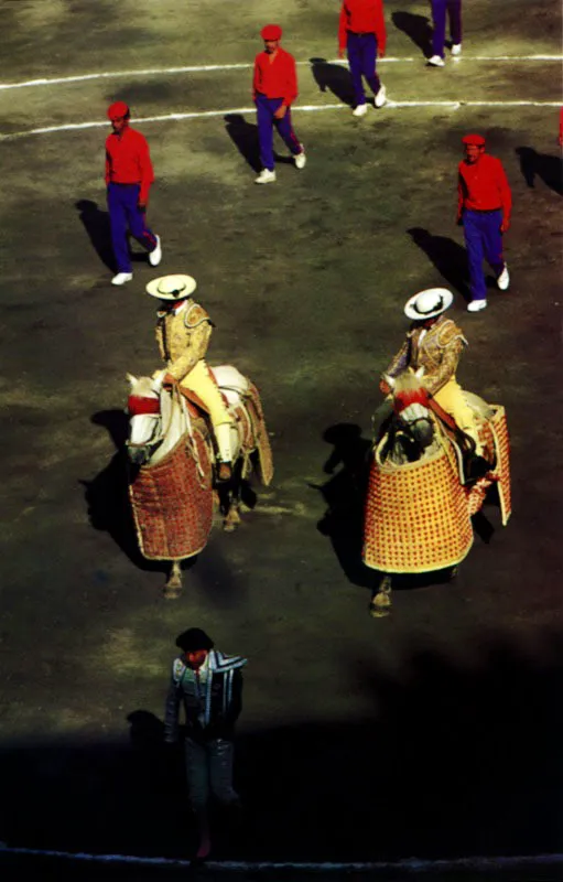 La feria de Manizales, ciudad fundada en 1849 dentro del proceso conocido como colonizacin antioquea, comenz hace ms de 30 aos y es pequea, recoleta y seorial. La feria de Cali es multitudinaria. En ambas la fiesta de los toros, tradicin heredada de Espaa que tiene su propia expresin y aficin tambin en otras regiones del pas, es parte central de la celebracin. Cali es la sede de la msica de Joe Arroyo y Celia Cruz. Es la salsa. Oiga, mire, vea / venga a Cali, pa que vea!, dice el profesor Sergio Ramrez Lamus. El ritmo de la salsa, anota Csar A. Villegas, es un hecho social que proviene del cruce privilegiado de las culturas del Caribe y del Africa. El sentido del gusto por la comida aparece en el goce de la msica: Azzcarr, sabrocito, chale picante, sal y pimienta. Parece entonces que iconos del sabor guardados en la memoria de los africanos hubieran aparecido en el crisol musical afrolatino de la salsa.  Jeremy Horner