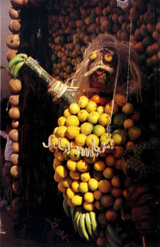 Anolaima, en el idioma de los indios Panche, pobladores originarios de la región, significa “vuestra alegría”. Actualmente, en la fiesta del Corpus Christi se honra la exuberancia del trópico y también la culinaria regional de bizcochuelos, arepas, garullas, almojábanas y dulces de frutas. Jeremy Horner