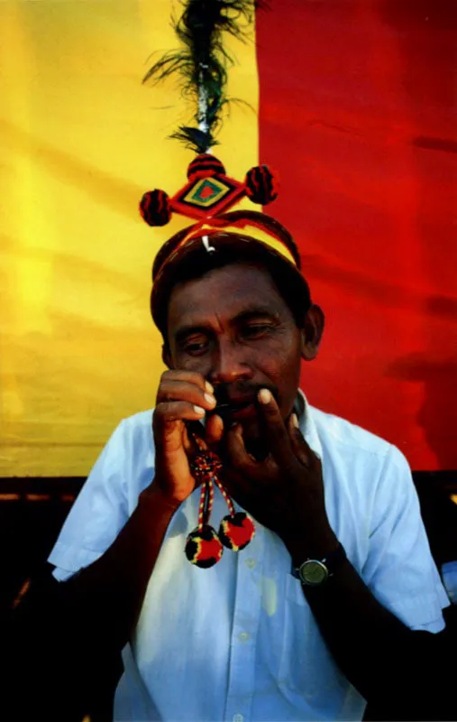Los indios Wayúu de La Guajira se distinguen por la particularidad de sus instrumentos musicales y por la manera de tocarlos. En todas sus fiestas aparece la isira o maraca esférica; la kasha o tambor cilíndrico de dos membranas percutido con dos baguetas; la timbirimba guimbarda o birimbao, aro metálico al que va soldado un fleje de acero que se hace vibrar, y la maasi, flauta traversera de lengüeta libre con orificios digitales. Jeremy Horner