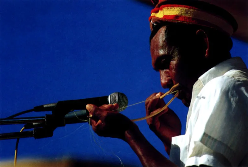 Los indios Wayu de La Guajira se distinguen por la particularidad de sus instrumentos musicales y por la manera de tocarlos. En todas sus fiestas aparece la isira o maraca esfrica; la kasha o tambor cilndrico de dos membranas percutido con dos baguetas; la timbirimba guimbarda o birimbao, aro metlico al que va soldado un fleje de acero que se hace vibrar, y la maasi, flauta traversera de lengeta libre con orificios digitales. Jeremy Horner