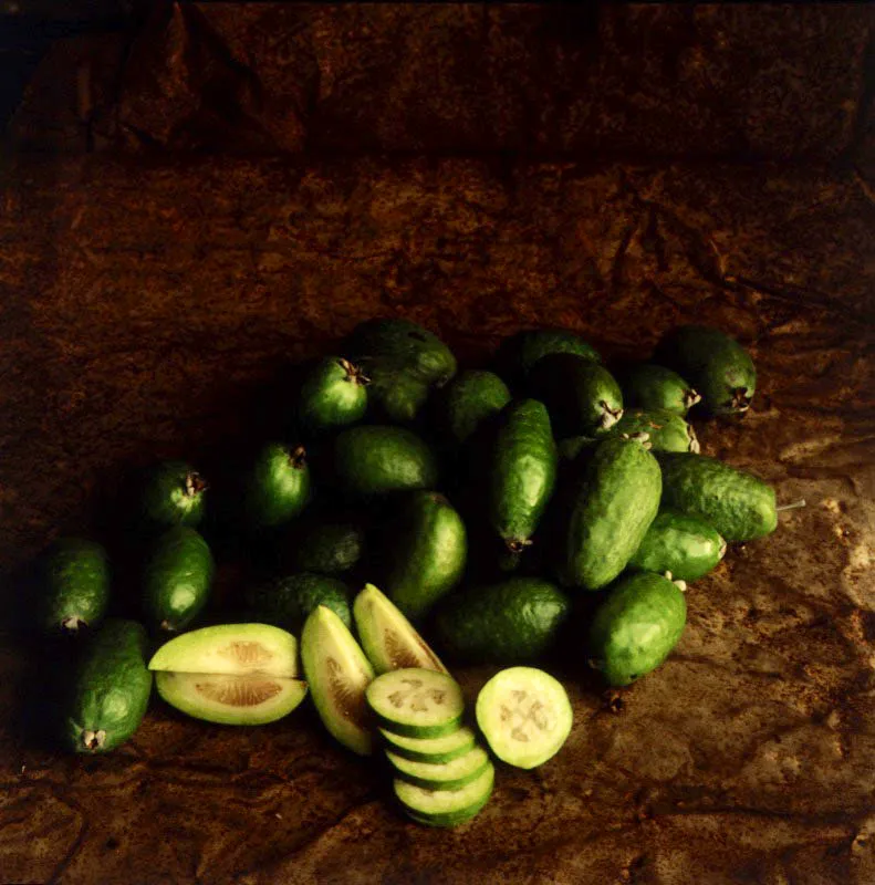 Feijoa. Acca sellowiana (Berg.) Burret.