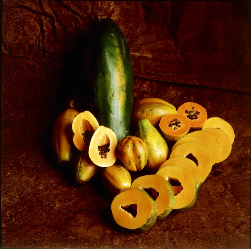 Papaya. Carica papaya L.