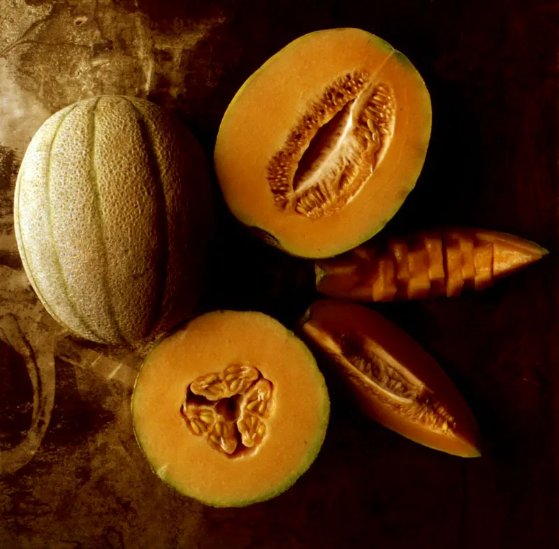 Meln.  Cucumis melo L. 