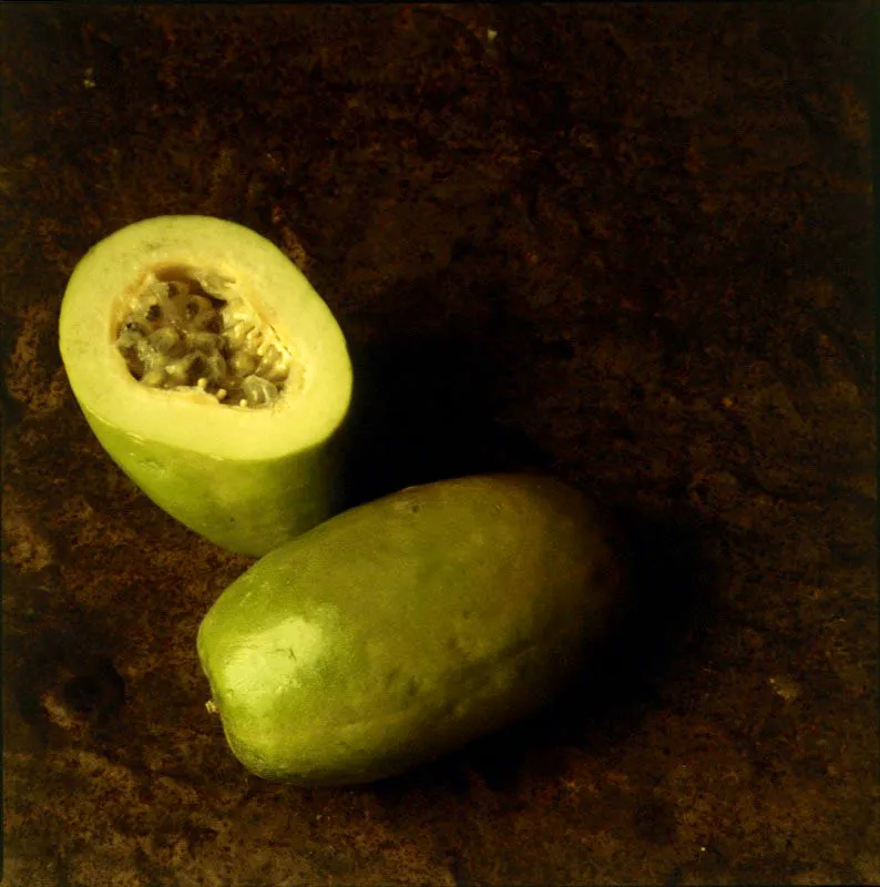 Badea. Passiflora quadrangularis L.